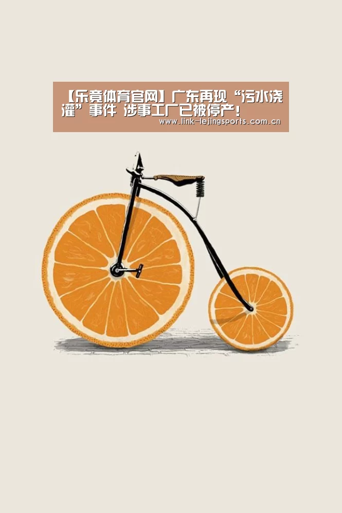 乐竟app