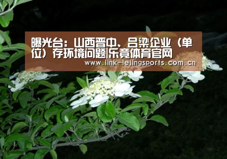 乐竟体育官网